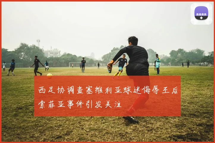 西足协调查塞维利亚球迷侮辱王后索菲亚事件引发关注