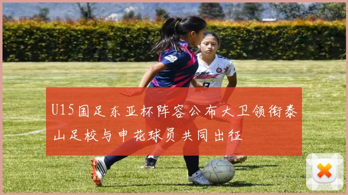 U15国足东亚杯阵容公布大卫领衔泰山足校与申花球员共同出征