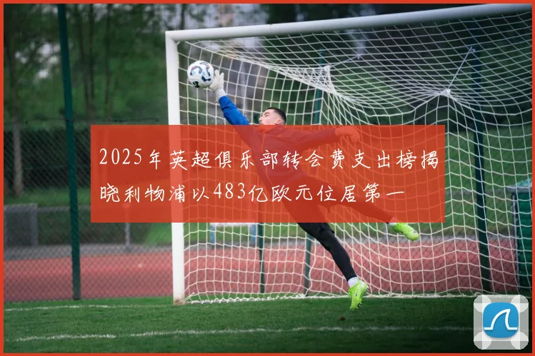 2025年英超俱乐部转会费支出榜揭晓利物浦以483亿欧元位居第一