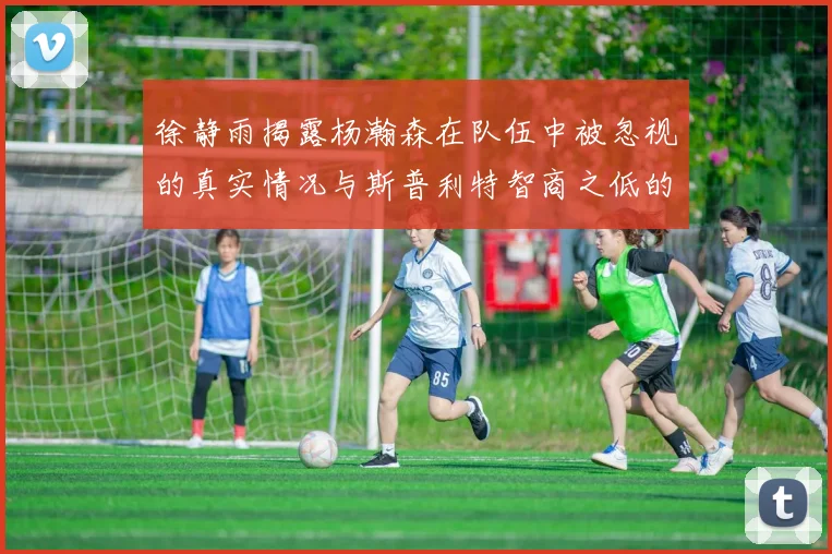 徐静雨揭露杨瀚森在队伍中被忽视的真实情况与斯普利特智商之低的尴尬真相