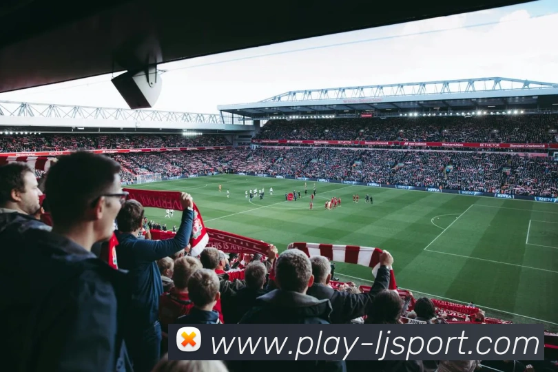 奖项图2